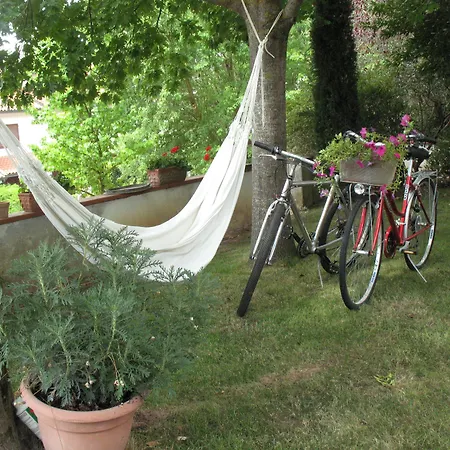 Bed & Breakfast Il Cipresso Treggiaia