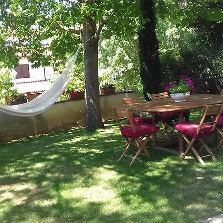 Il Cipresso *