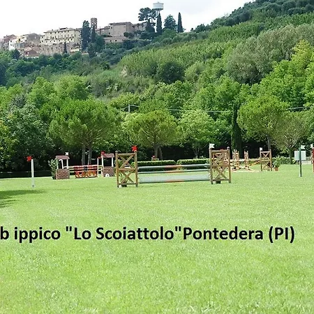 Il Cipresso *